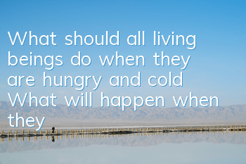 What should all living beings do when they are hungry and cold? What will happen when they are hungry and cold?