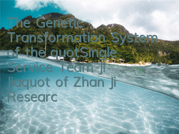 The Genetic Transformation System of the 