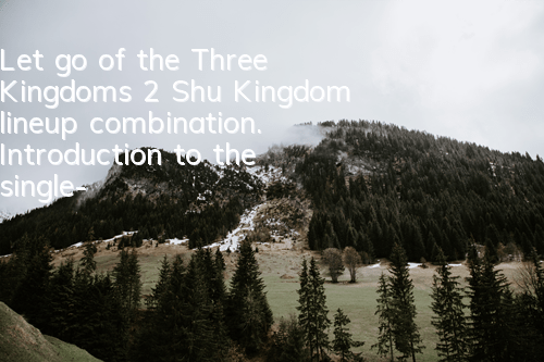 Let go of the Three Kingdoms 2 Shu Kingdom lineup combination. Introduction to the single-second lineup of Shu Kingdom