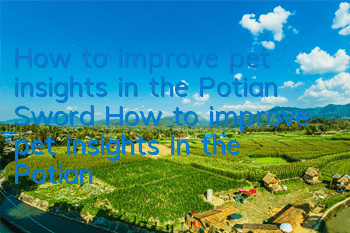 How to improve pet insights in the Potian Sword? How to improve pet insights in the Potian