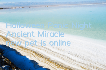 Halloween Panic Night 