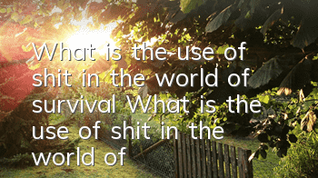 What is the use of shit in the world of survival? What is the use of shit in the world of survival