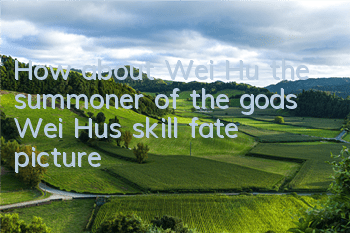 How about Wei Hu, the summoner of the gods? Wei Hu’s skill fate picture