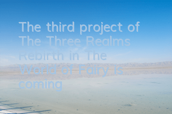 The third project of 