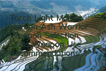 Torch Light Mobile Version Ash Warrior Weapon Selection Skills Weapon Use Recommendations