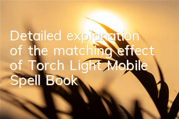 Detailed explanation of the matching effect of Torch Light Mobile Spell Book