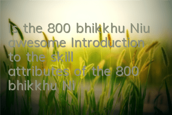 Is the 800 bhikkhu Niu awesome? Introduction to the skill attributes of the 800 bhikkhu Niu