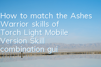 How to match the Ashes Warrior skills of Torch Light Mobile Version? Skill combination guide