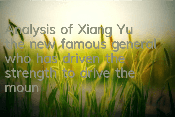 Analysis of Xiang Yu, the new famous general who has driven the strength to drive the mountain to the world.