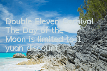 Double Eleven Carnival 