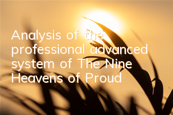 Analysis of the professional advanced system of 