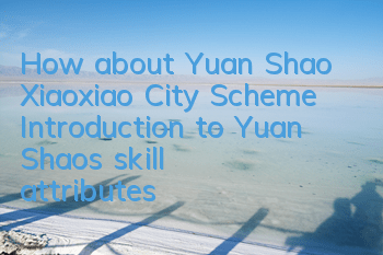 How about Yuan Shao, Xiaoxiao City Scheme? Introduction to Yuan Shao’s skill attributes