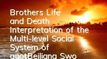 Brothers' Life and Death Interpretation of the Multi-level Social System of 