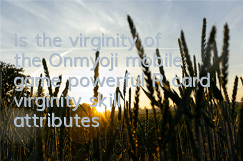 Is the virginity of the Onmyoji mobile game powerful? R card virginity skill attributes