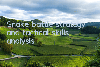 Snake battle strategy and tactical skills analysis