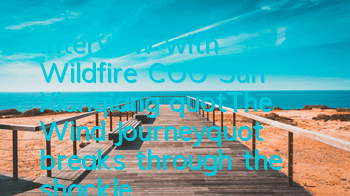 Interview with Wildfire COO Sun Xianqiang: 
