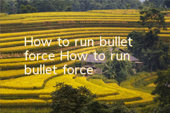 How to run bullet force? How to run bullet force?