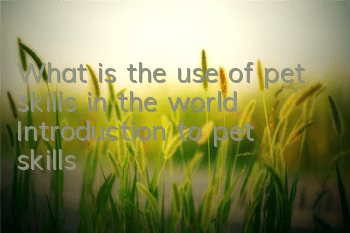 What is the use of pet skills in the world? Introduction to pet skills