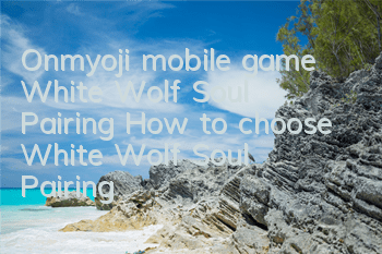 Onmyoji mobile game White Wolf Soul Pairing How to choose White Wolf Soul Pairing