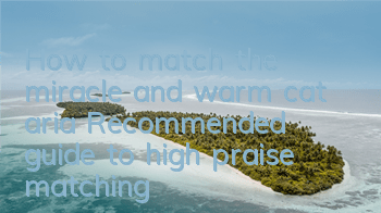 How to match the miracle and warm cat aria? Recommended guide to high praise matching
