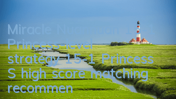 Miracle Nuannuan 15-1 Princess-level strategy 15-1 Princess S high score matching recommendation