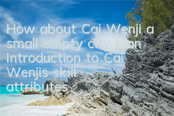 How about Cai Wenji, a small empty city plan? Introduction to Cai Wenji's skill attributes