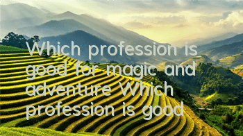 Which profession is good for magic and adventure? Which profession is good?