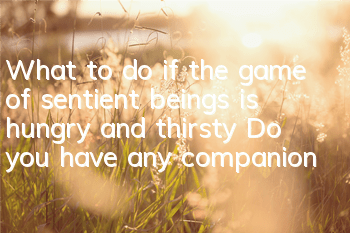 What to do if the game of sentient beings is hungry and thirsty? Do you have any companions when playing games of sentient beings?