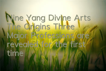 Nine Yang Divine Arts: The Origins Three Major Professions are revealed for the first time, and there are still eighteen dragons in the face.