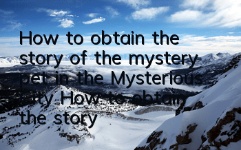 How to obtain the story of the mystery pet in the Mysterious City? How to obtain the story of the mystery pet in the Mysterious City
