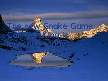 The new Snake Game 
