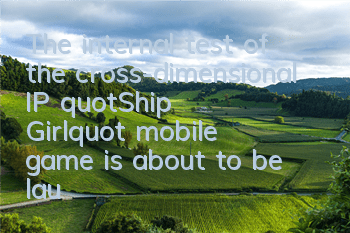 The internal test of the cross-dimensional IP 