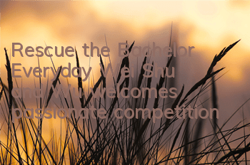 Rescue the Bachelor 