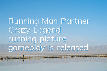 Running Man Partner 