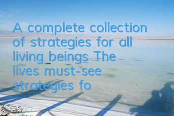A complete collection of strategies for all living beings The lives must-see strategies for newcomers