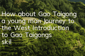 How about Gao Taigong, a young man Journey to the West? Introduction to Gao Taigong's skill attributes