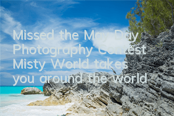 Missed the May Day Photography Contest? 