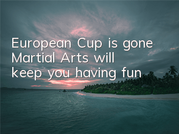 European Cup is gone 