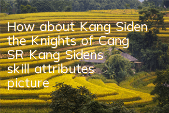 How about Kang Siden, the Knights of Cang? SR Kang Siden's skill attributes picture