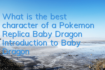 What is the best character of a Pokemon Replica Baby Dragon? Introduction to Baby Dragon