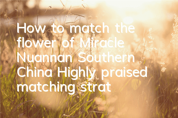 How to match the flower of Miracle, Nuannan, Southern China? Highly praised matching strategy for the selection competition
