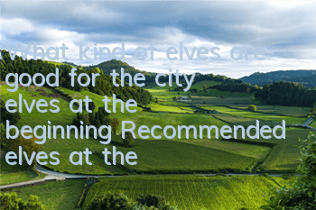 What kind of elves are good for the city elves at the beginning? Recommended elves at the beginning