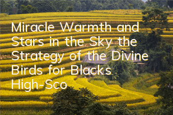 Miracle Warmth and Stars in the Sky, the Strategy of the Divine Birds for Blacks, High-Score Matching Recommendations