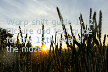 Warp shift guide 1-12 Picture and text guide for the 12th level of the maze