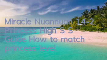 Miracle Nuannuan 14-2 Princess High S S Guide How to match princess level