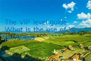 The VIP level guide What is the use of Vip privileges?