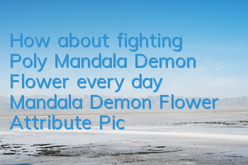 How about fighting Poly Mandala Demon Flower every day? Mandala Demon Flower Attribute Picture Record