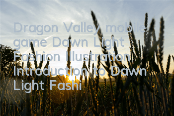 Dragon Valley mobile game Dawn Light Fashion Illustration Introduction to Dawn Light Fashion Attributes