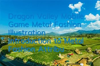 Dragon Valley Mobile Game Metal Fashion Illustration Introduction to Metal Fashion Attributes