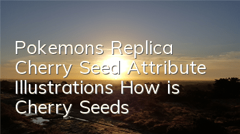 Pokemon's Replica Cherry Seed Attribute Illustrations How is Cherry Seeds